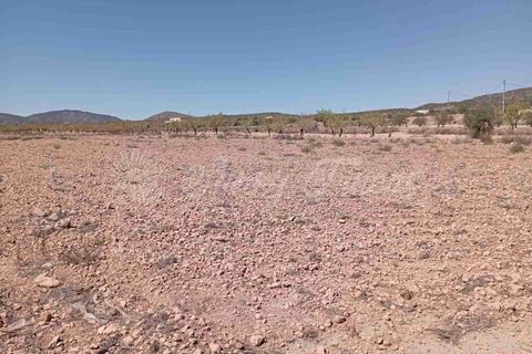 Helårsgrund i Pinoso, Alicante, Pinoso - € 39.000 | Ref: SF0515 - foto 8